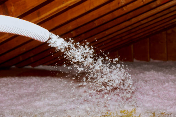 Best Insulation Materials and Products in Van Horn, TX